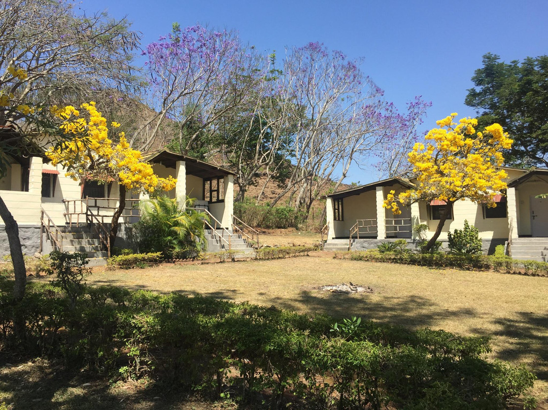 The Monarch Safari Park主图