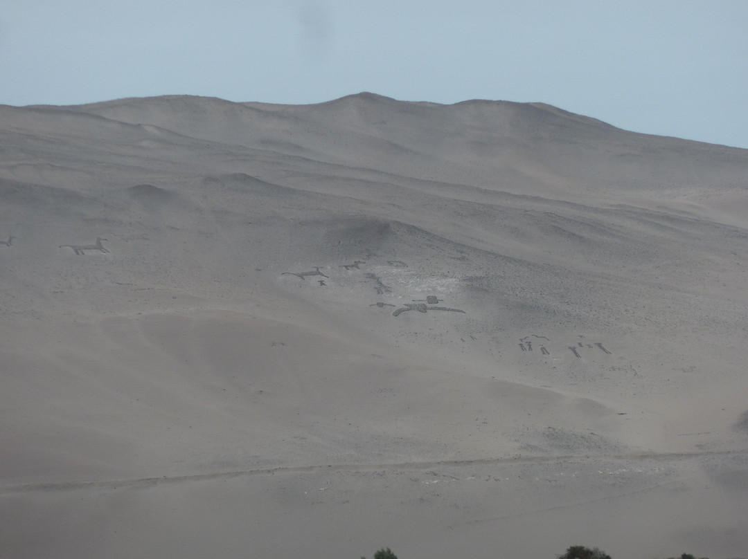 La Tropilla Geoglyphs景点图片