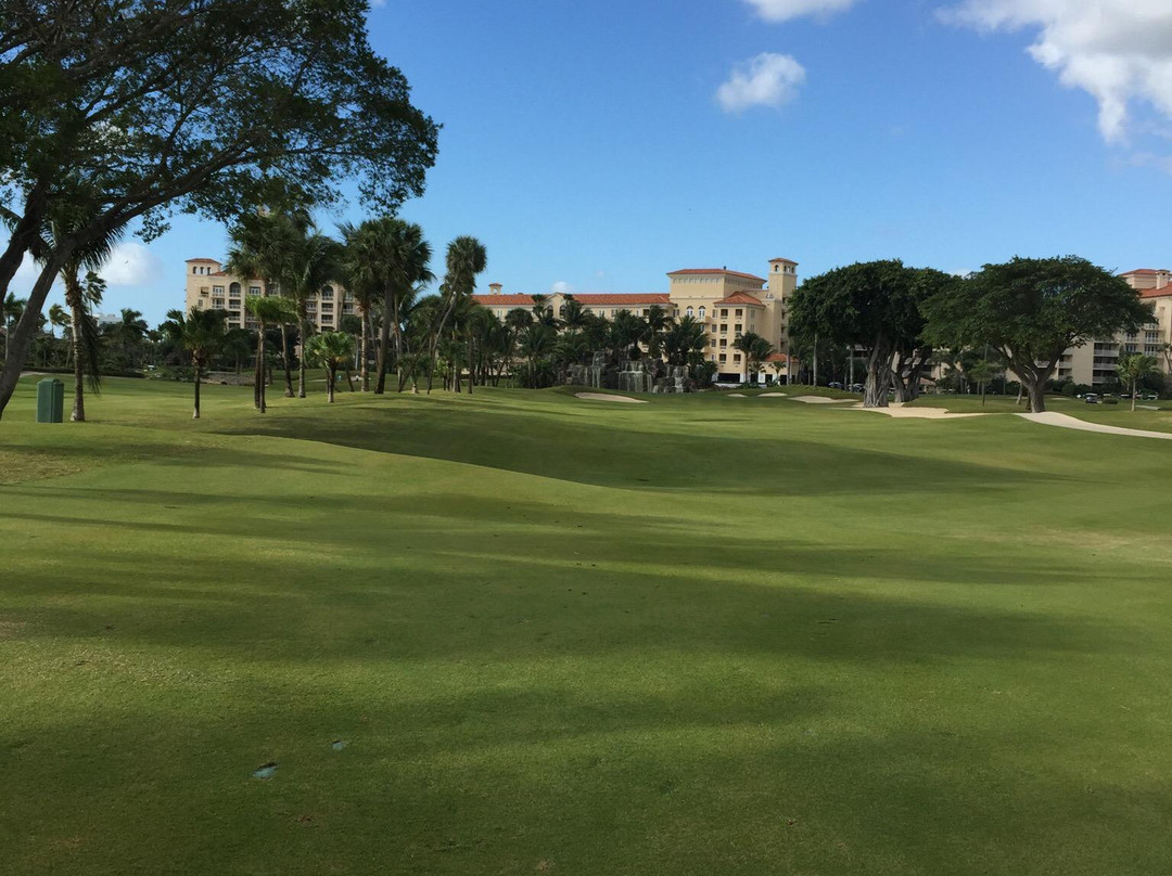 Jw Marriott Miami Turnberry Resort & Spa Golf Course-阿文图拉必去景点