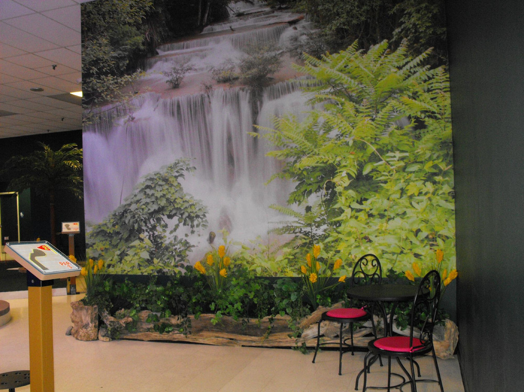 Cool Dozen Micro Golf-Selkirk必去景点