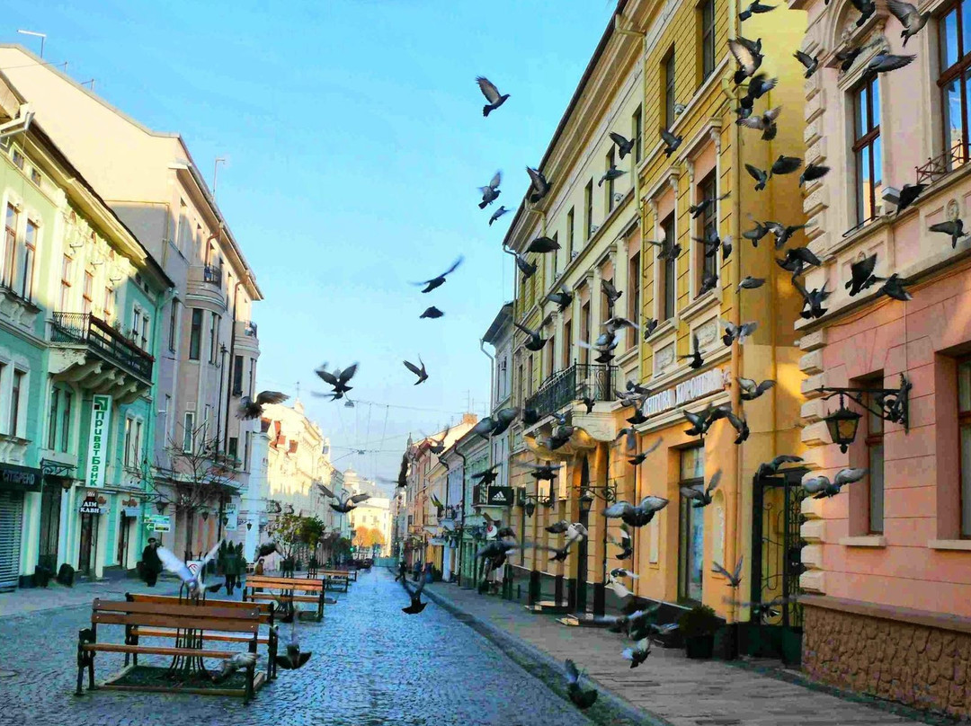 Chernivtsi旅游景点-Olgi  Kobylyanskoi  Street