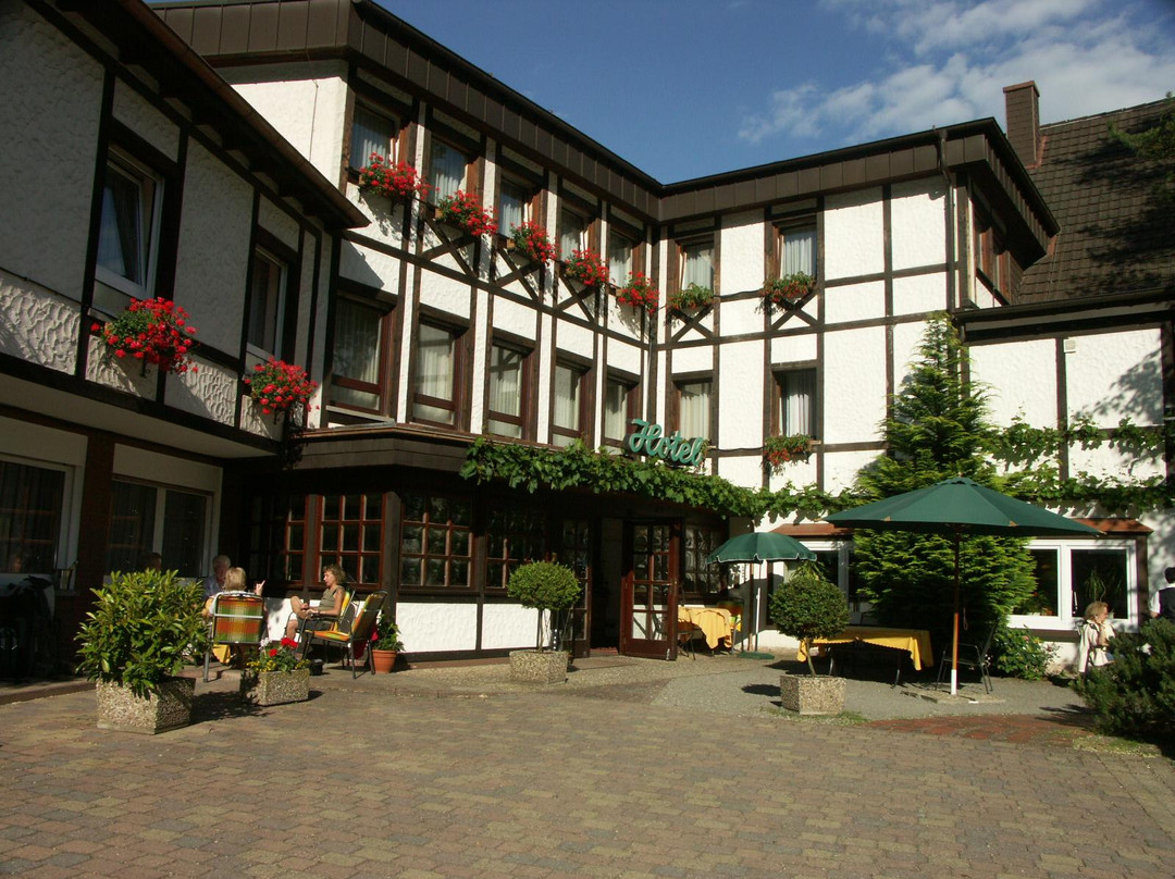Maikammer旅游攻略图片