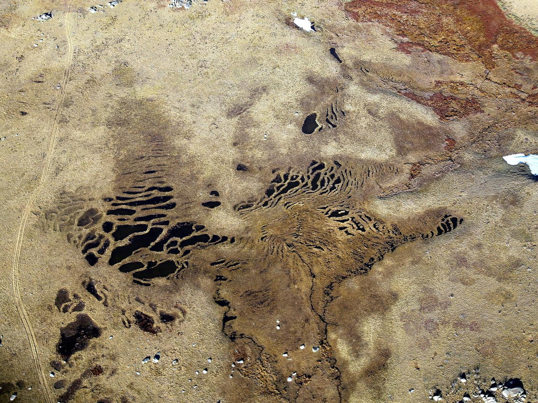 Snowy Mountains Helicopters-金德拜恩必去景点