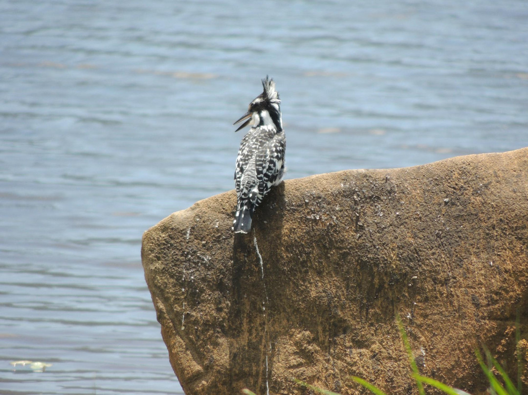 Karkloof Conservation Centre景点图片