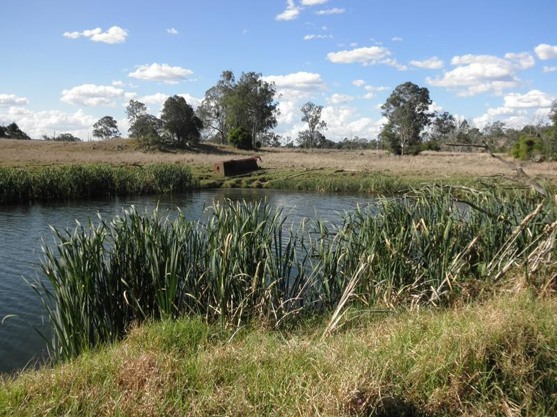 Yarraman Weir and Station Park景点图片