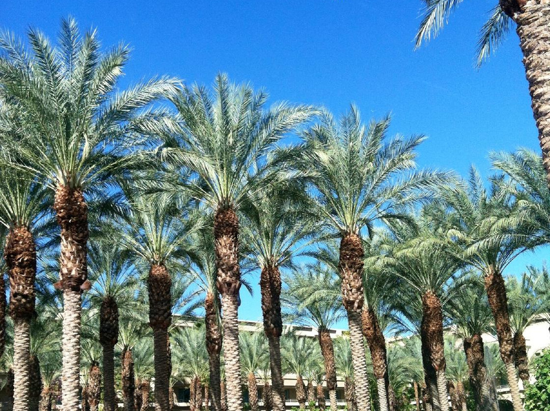 Agua Serena Spa-印第安维尔斯必去景点