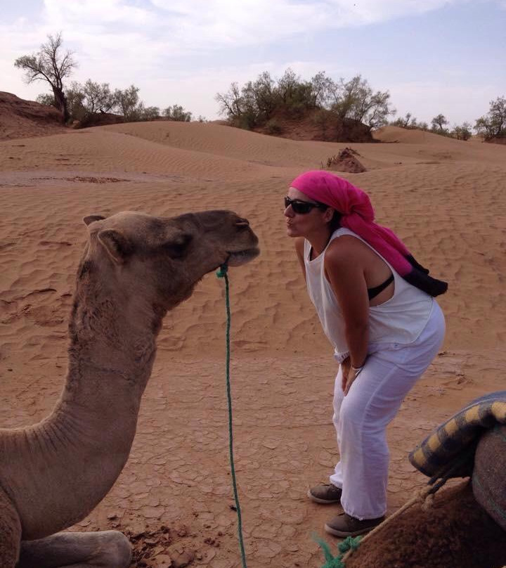 Bivouac sous les Etoiles-迈哈米德必去景点