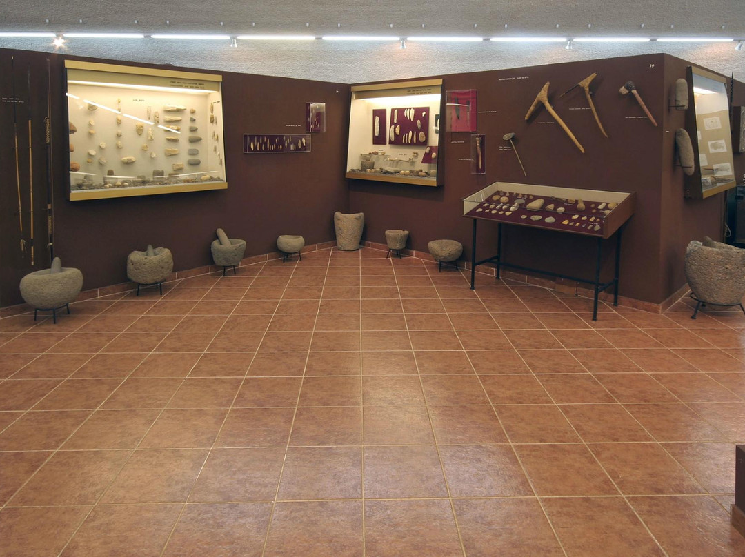 The Prehistoric Man Museum景点图片