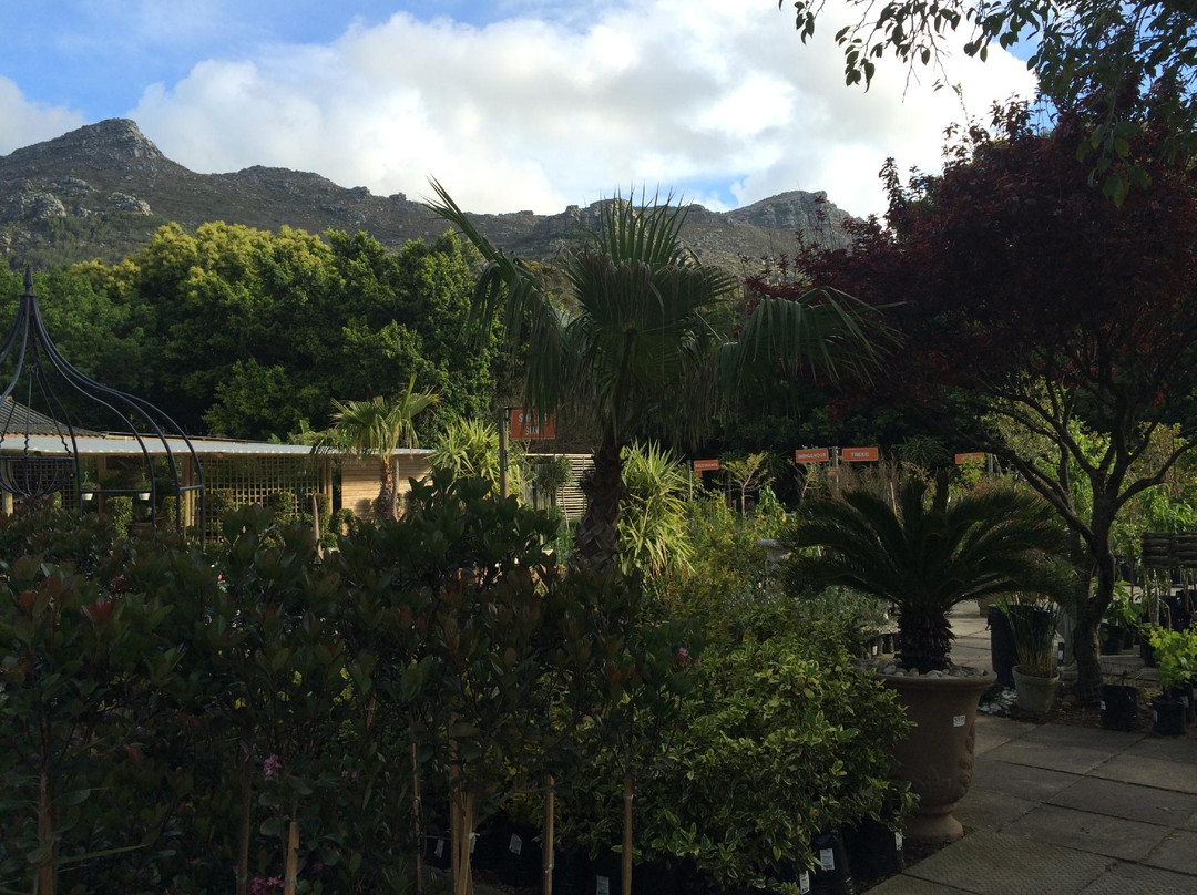 Llandudno餐馆和美食-EarthWorx Garden Cafe