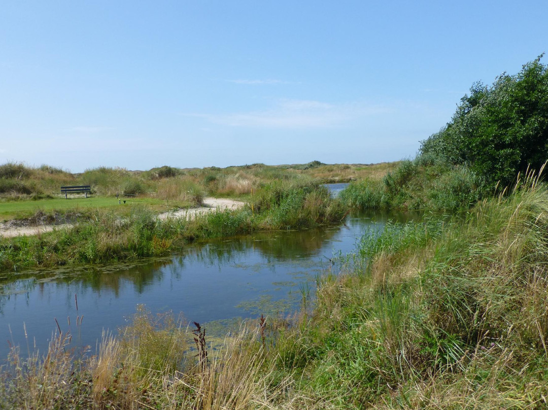 Golfbaan De Texelse景点图片