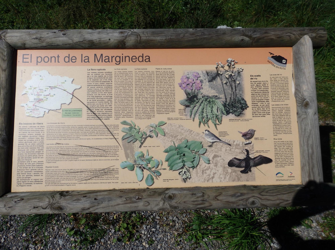 Pont de la Margineda-La Margineda必去景点