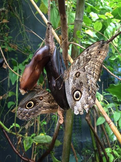 Selva Viva-圣地亚哥必去景点