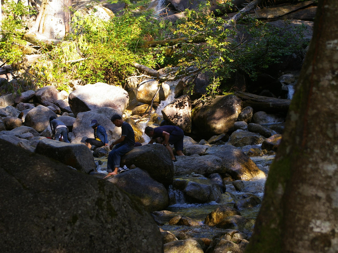 Shannon Falls Provincial Park景点图片