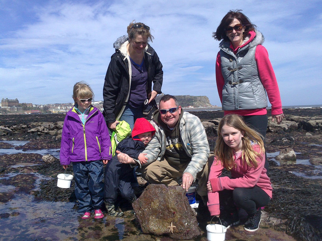 Hidden Horizons-斯卡伯勒必去景点