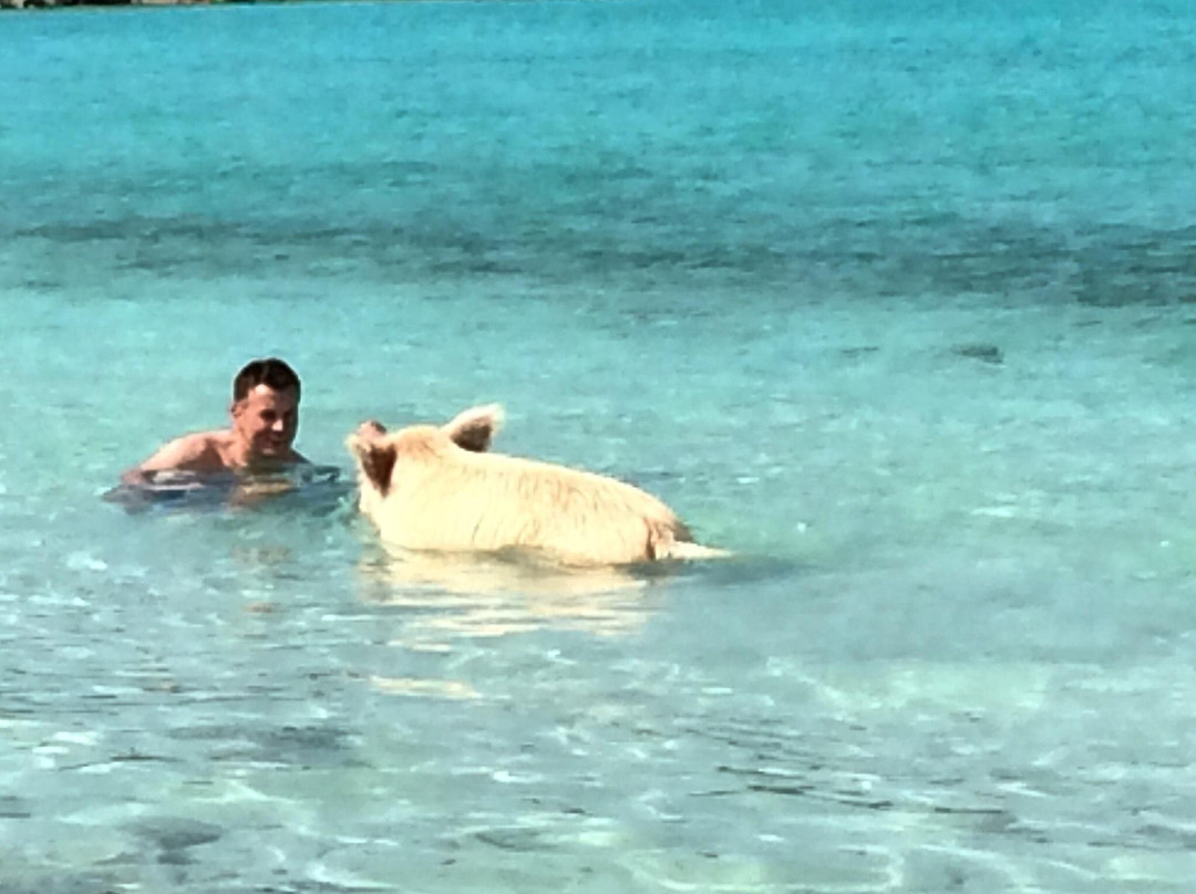 Pig Beach-斯丹尼尔岛必去景点