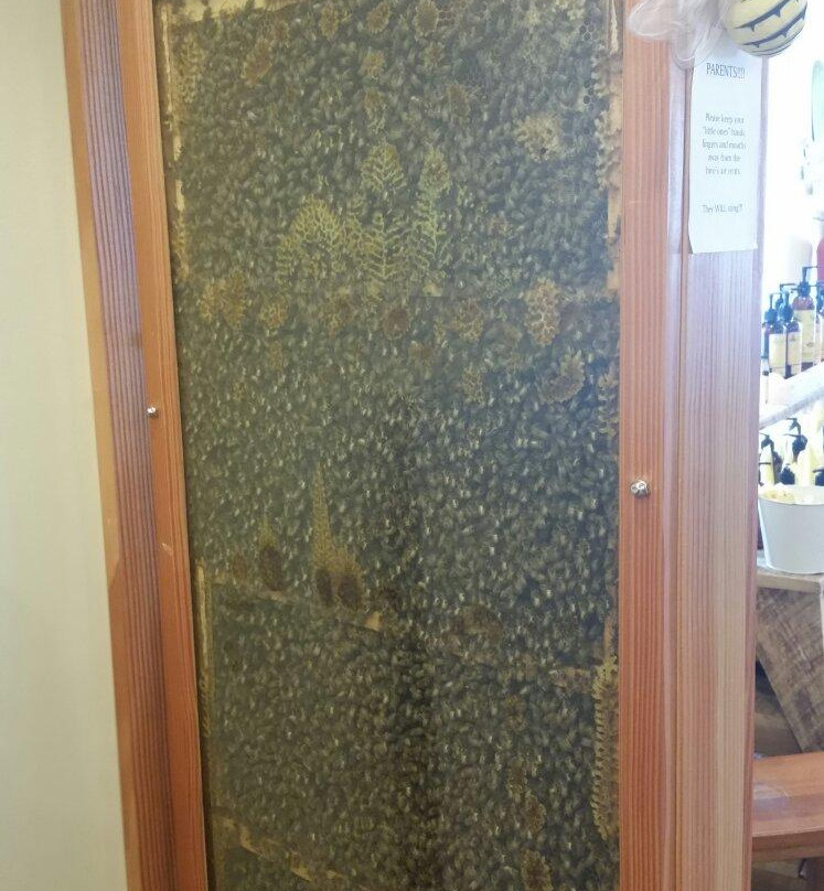 Honey Hole-West Jefferson必去景点