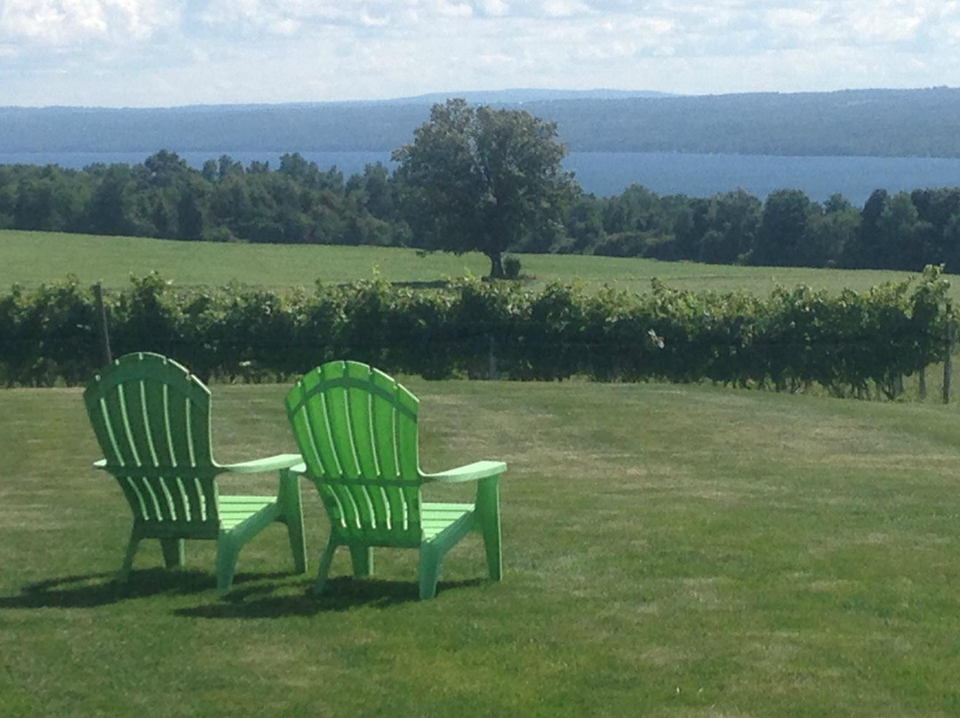 Long Point Winery-Aurora必去景点