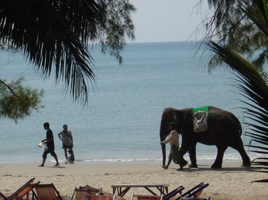Mae Ram Phueng Beach-Phe必去景点