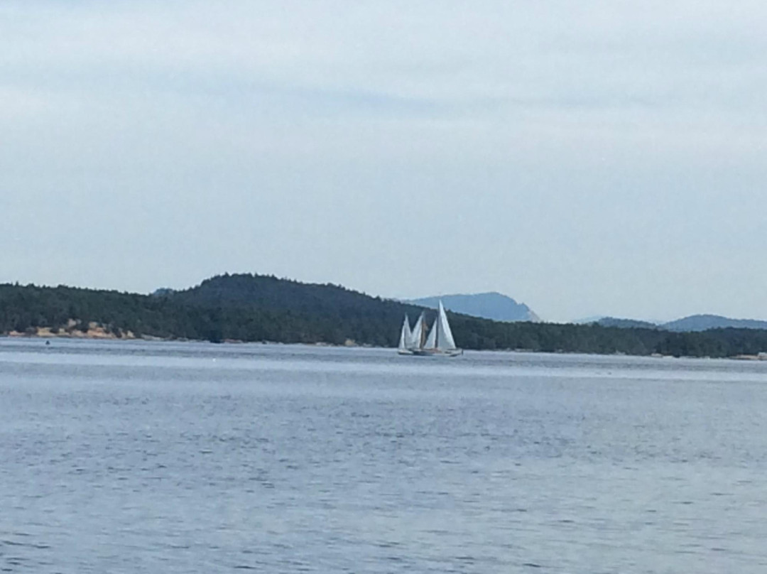 L'Orenda Sailing Tours景点图片