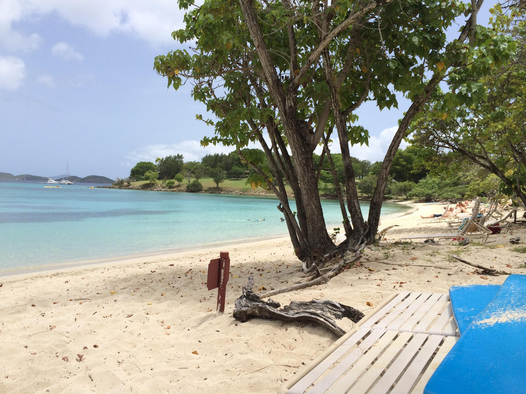 Caneel Bay Beach-Caneel Bay必去景点