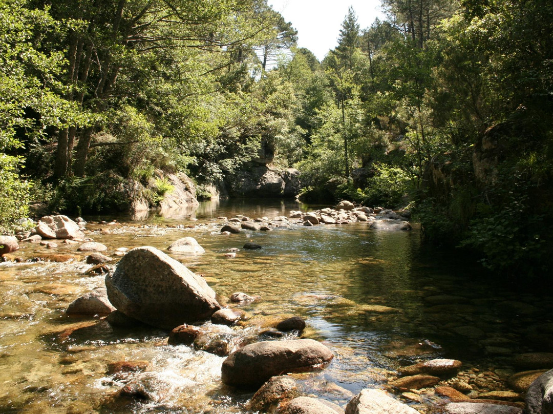 Camping de la Rivière