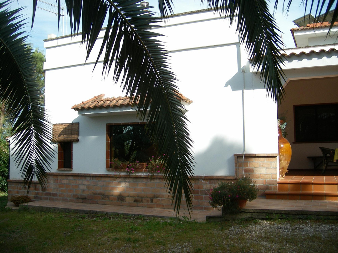 Sava酒店住宿-B&B Il Pino