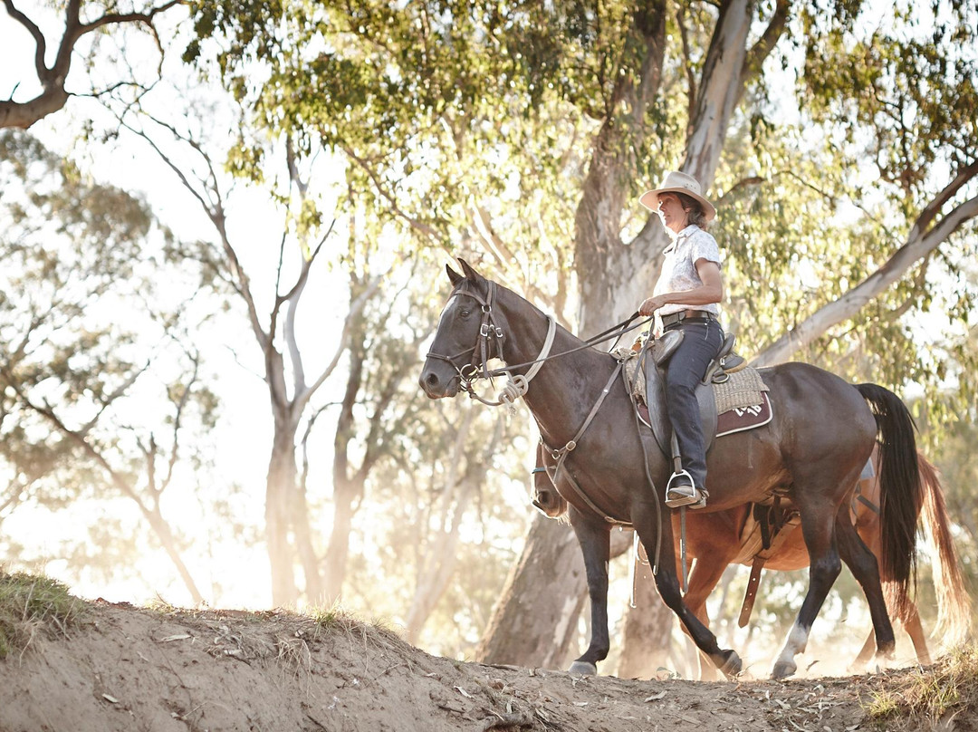 King River-King Valley必去景点
