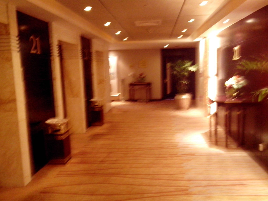 皮都锦江大酒店主图