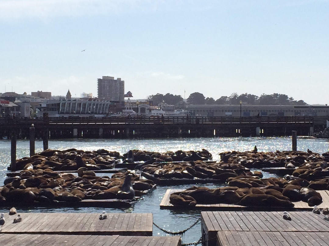 渔人码头-旧金山必去景点