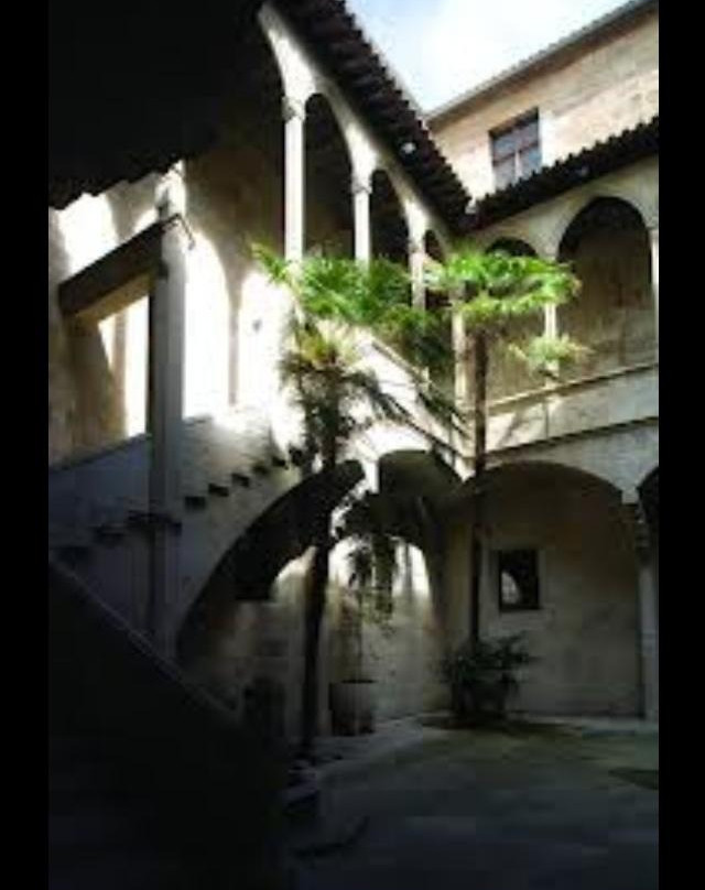 Antiguo Hospital de Santa Maria景点图片