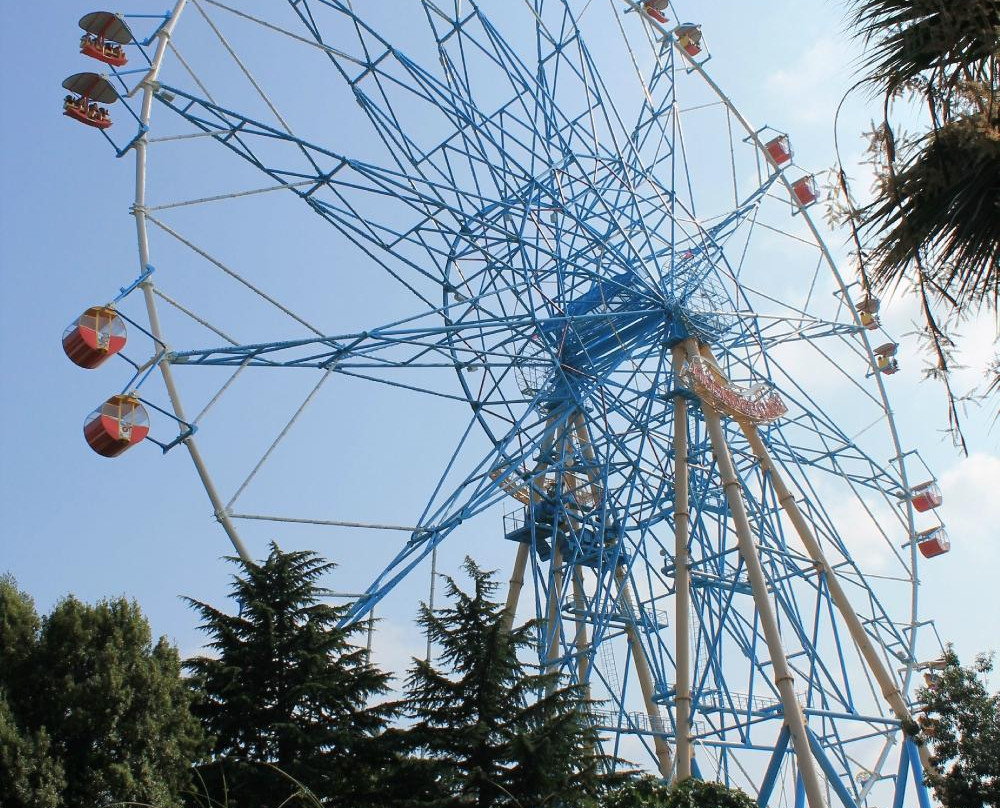 Ferris Wheel景点图片