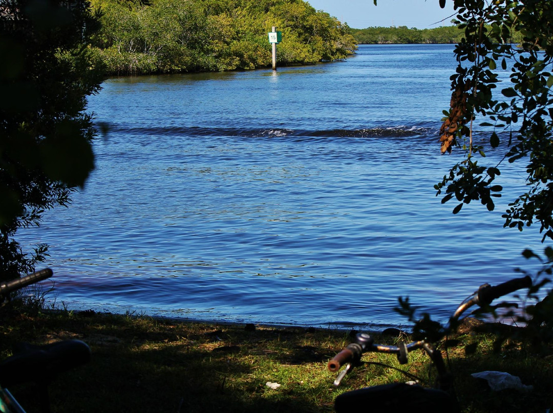 Spruce Bluff Preserve-圣露西港必去景点