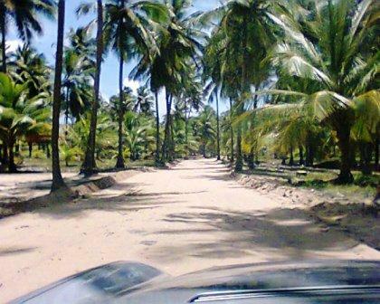 Hotel Linha Verde-泳池