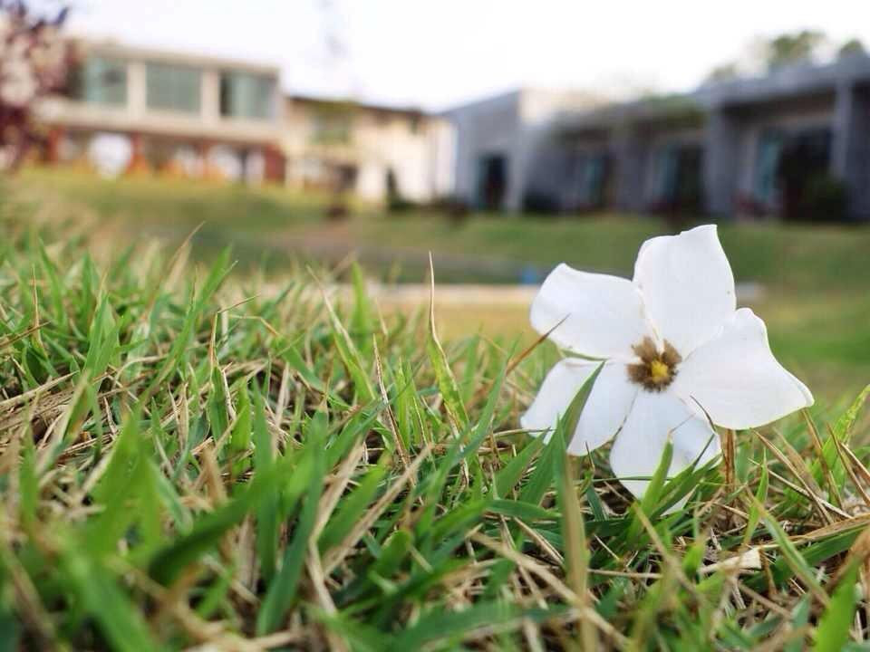 Molloft Resort主图