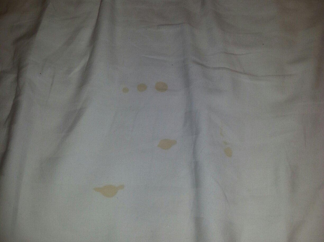 北京波菲特酒店主图