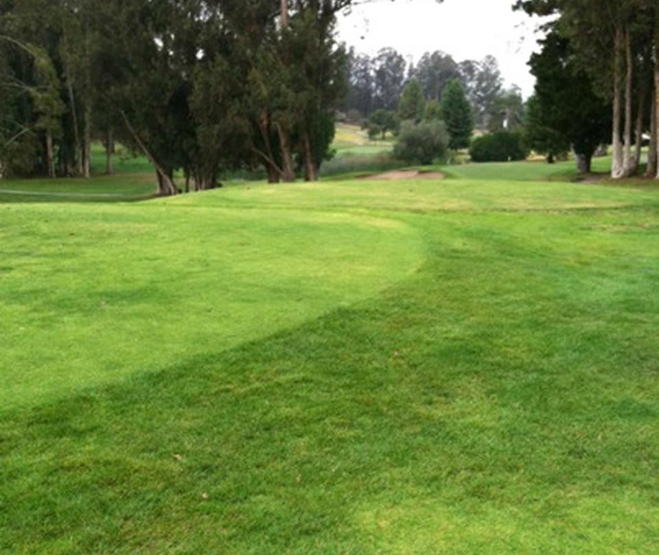 Blacklake Golf Resort景点图片