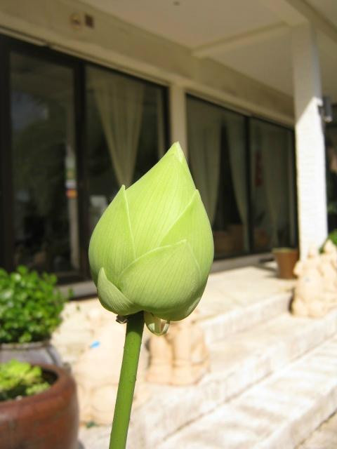 Chadasai spa-呈塔累必去景点