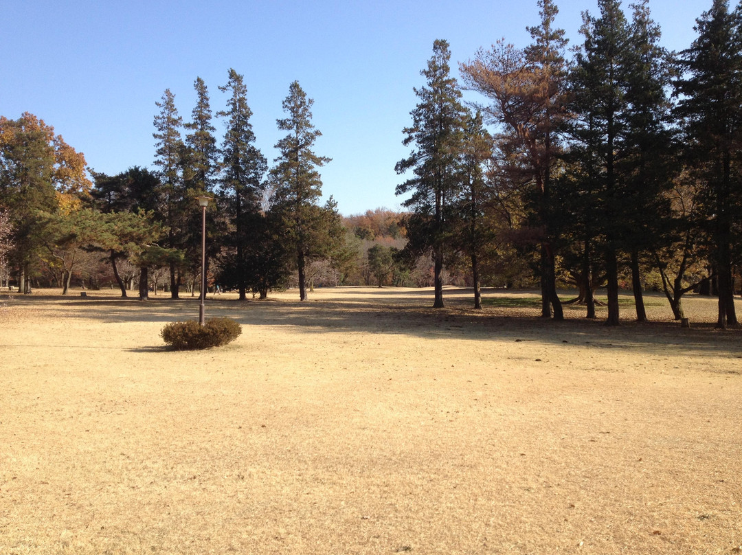 Nogawa Park-三鹰市必去景点