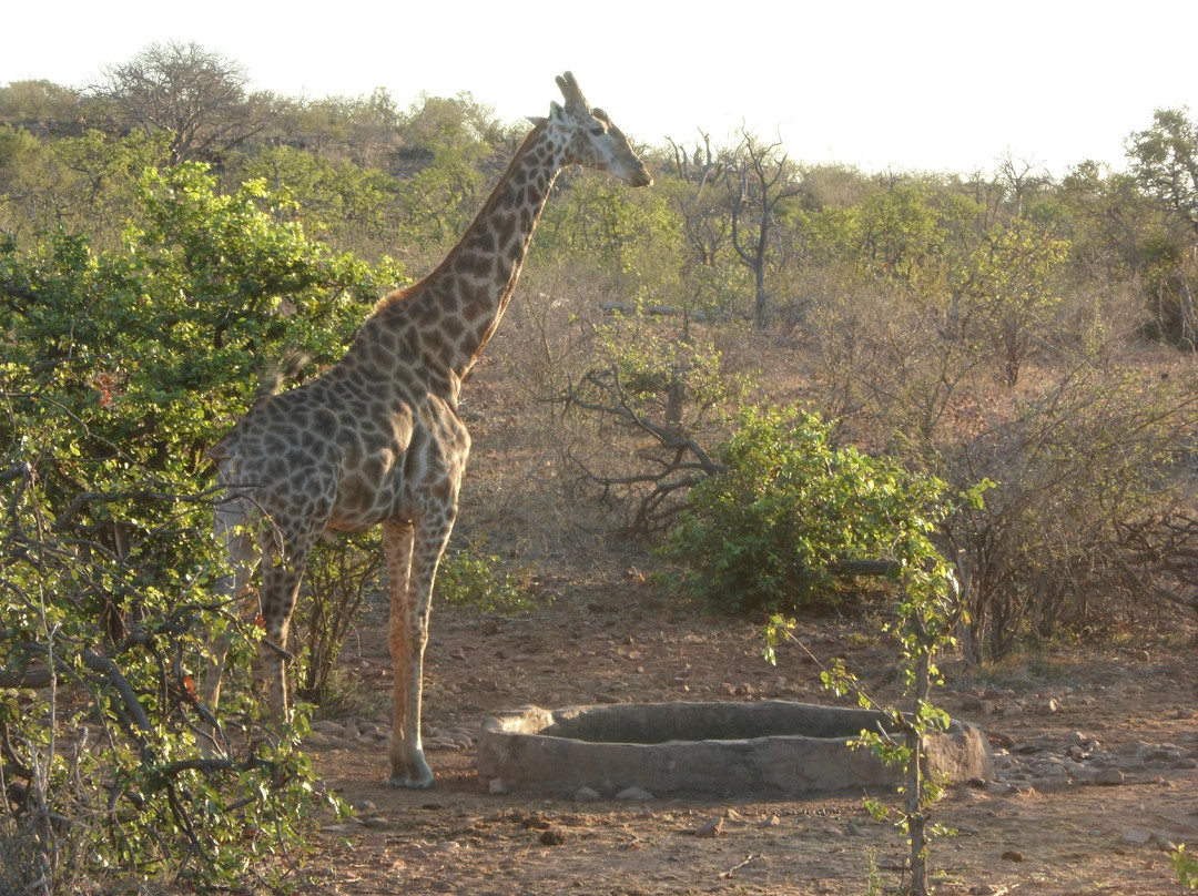Kaoxa Bush Camp