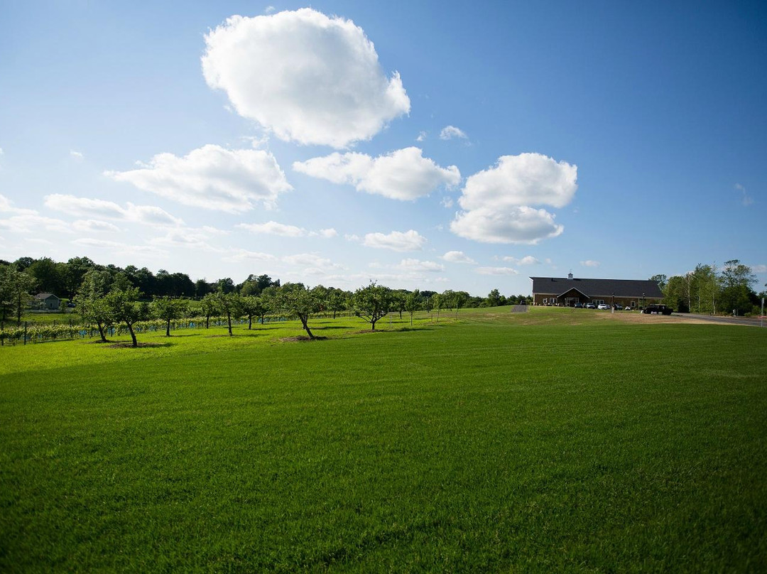 Owera Vineyards-Cazenovia必去景点