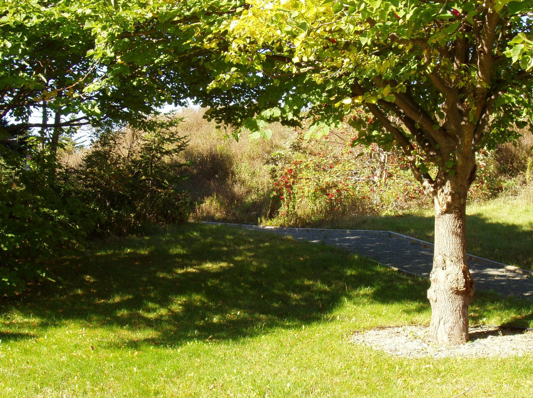 Pippy Park-圣约翰必去景点