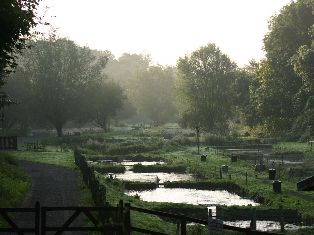 Chalk Springs Trout Fishery景点图片