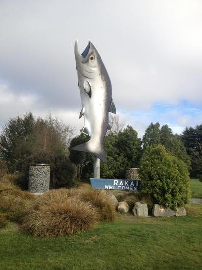 Salmon World景点图片
