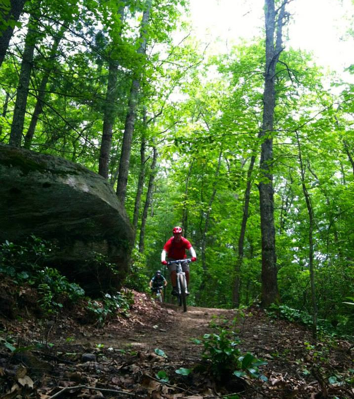 Pisgah Mountain Bike Adventures - Day Tours景点图片