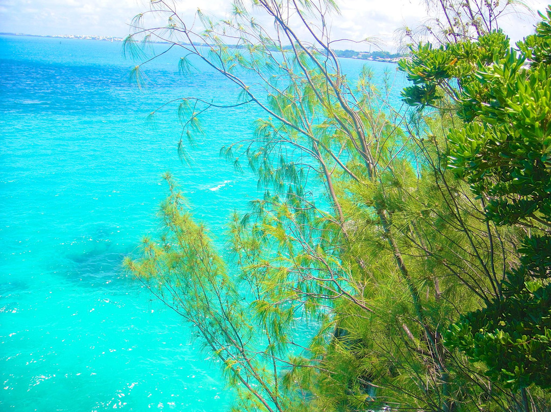 Admiralty House Park-汉密尔顿必去景点