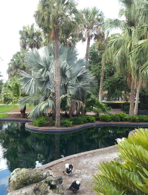 伊欧拉湖边公园-奥兰多必去景点