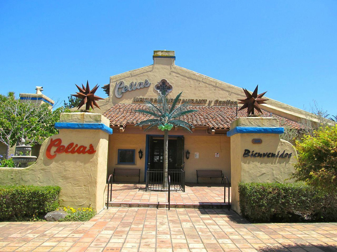 戴利城餐馆和美食-Celia's Mexican Restaurant