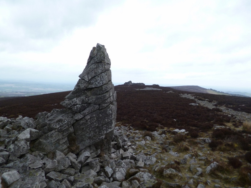 Stiperstones Nature Reserve-什鲁斯伯里必去景点