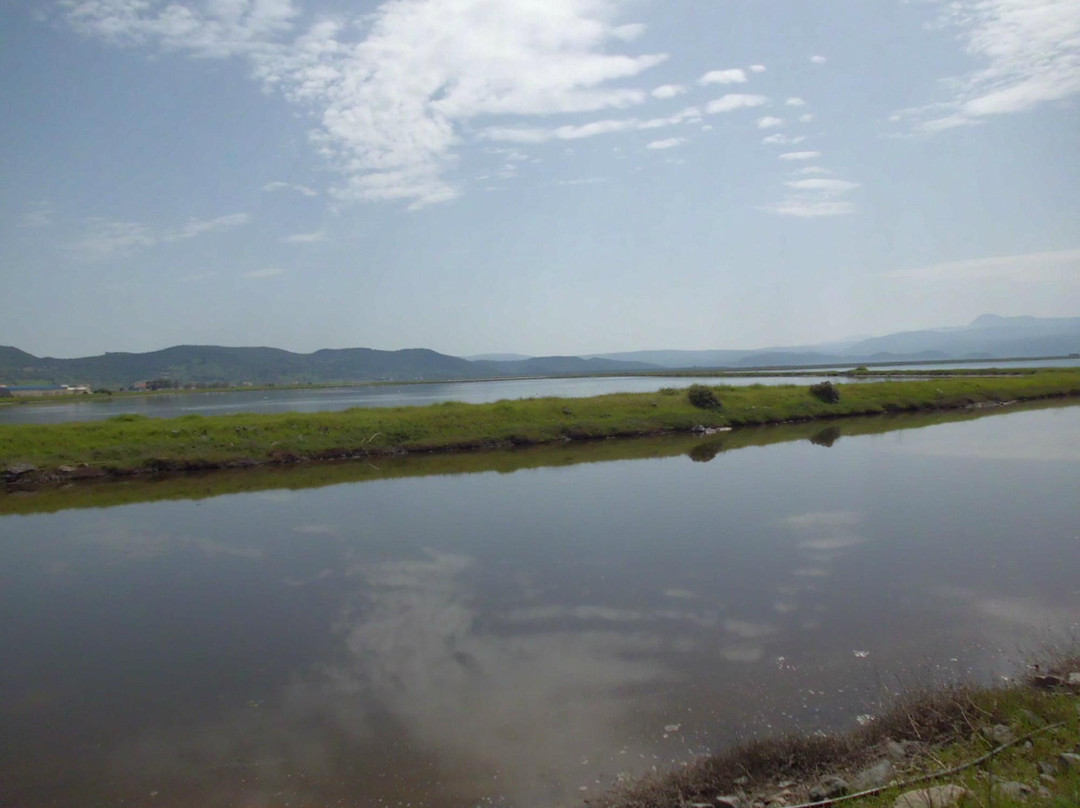Kalloni Salt Pans-Skala Kallonis必去景点