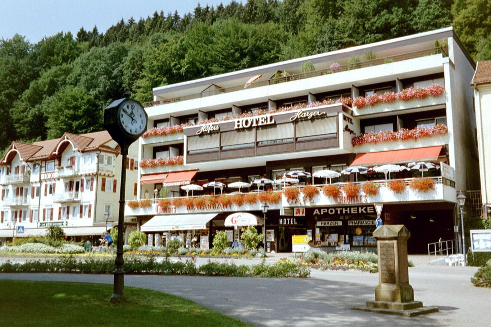 Hotel Harzer-客卧